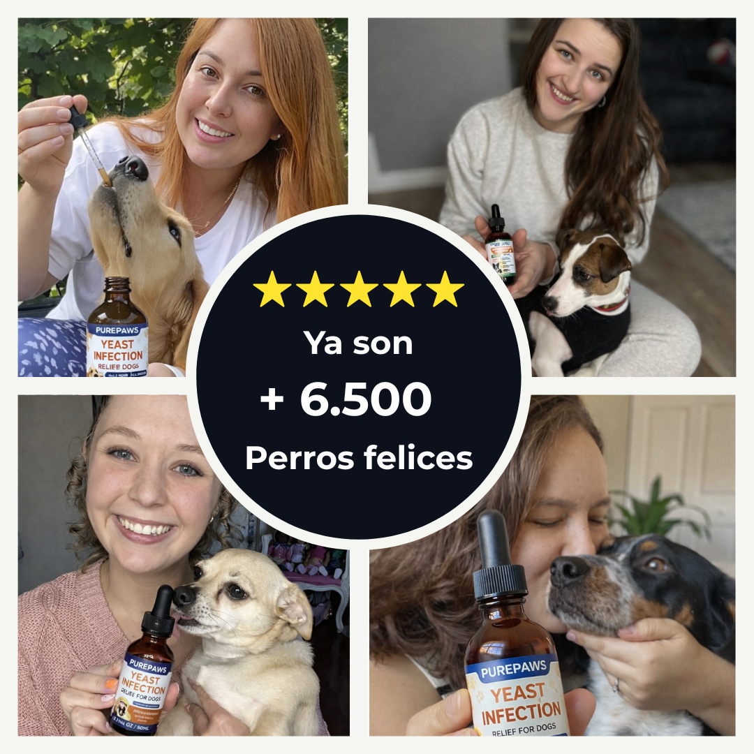 PurePaws™ Relief Drops