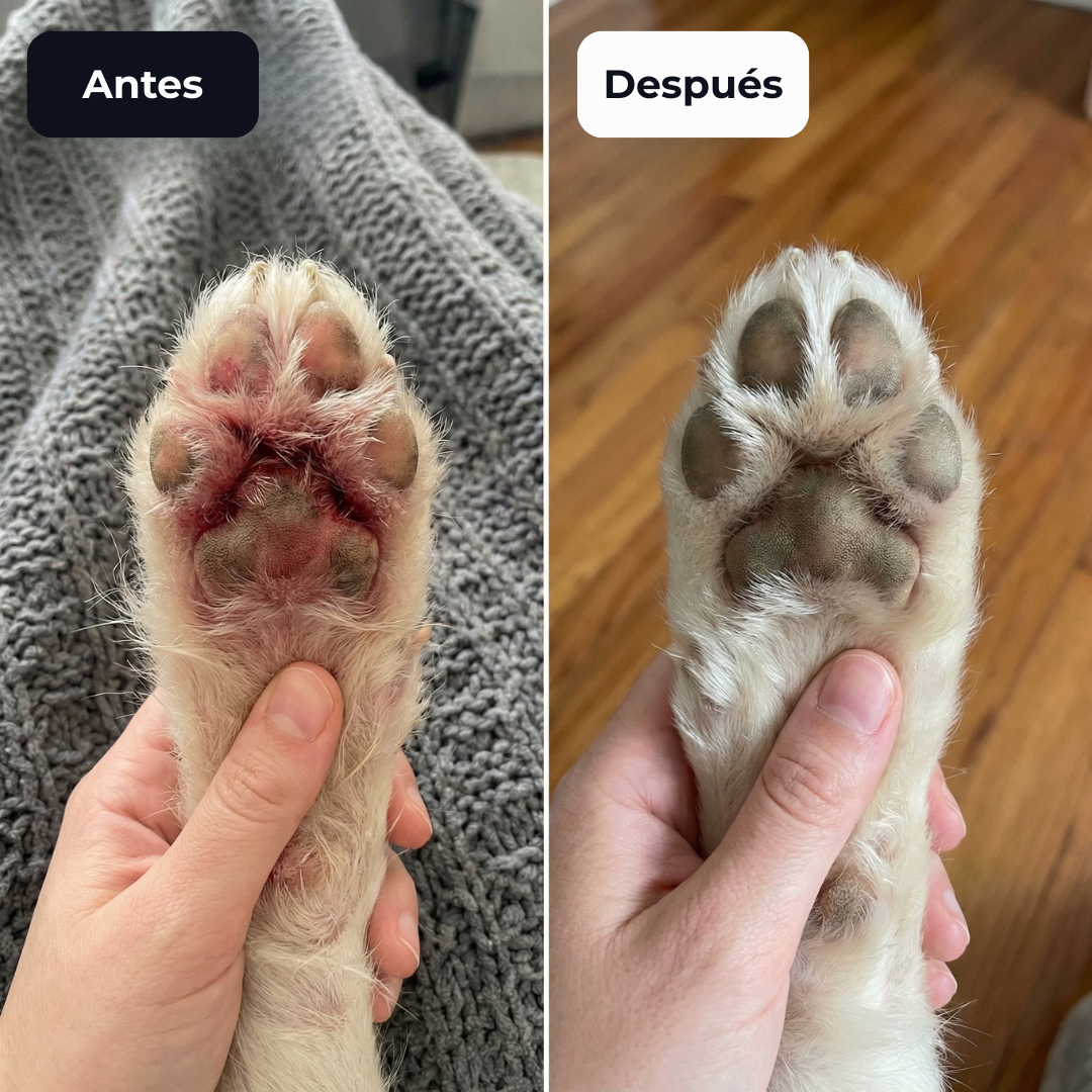 PurePaws™ Relief Drops