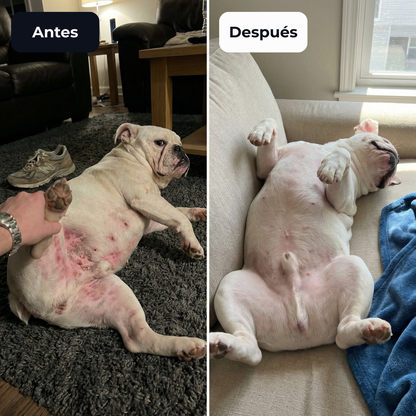 PurePaws™ Relief Drops