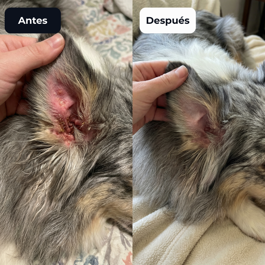 PurePaws™ Relief Drops