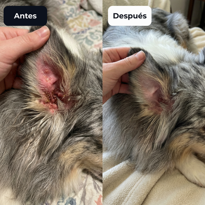 PurePaws™ Relief Drops